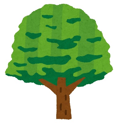 木　イメージ